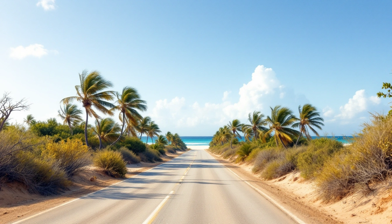 An arid Caribbean coastal road with wind-bent trees and turquoise water — Do You Need a Car in Aruba?