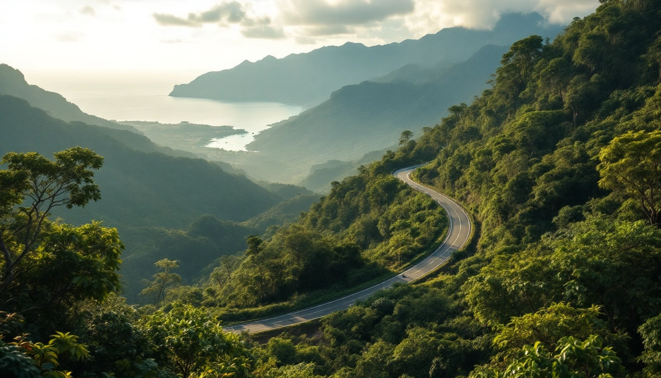 A mountain road winding through rainforest above a distant coastline — Do You Need a Car in Puerto Rico?